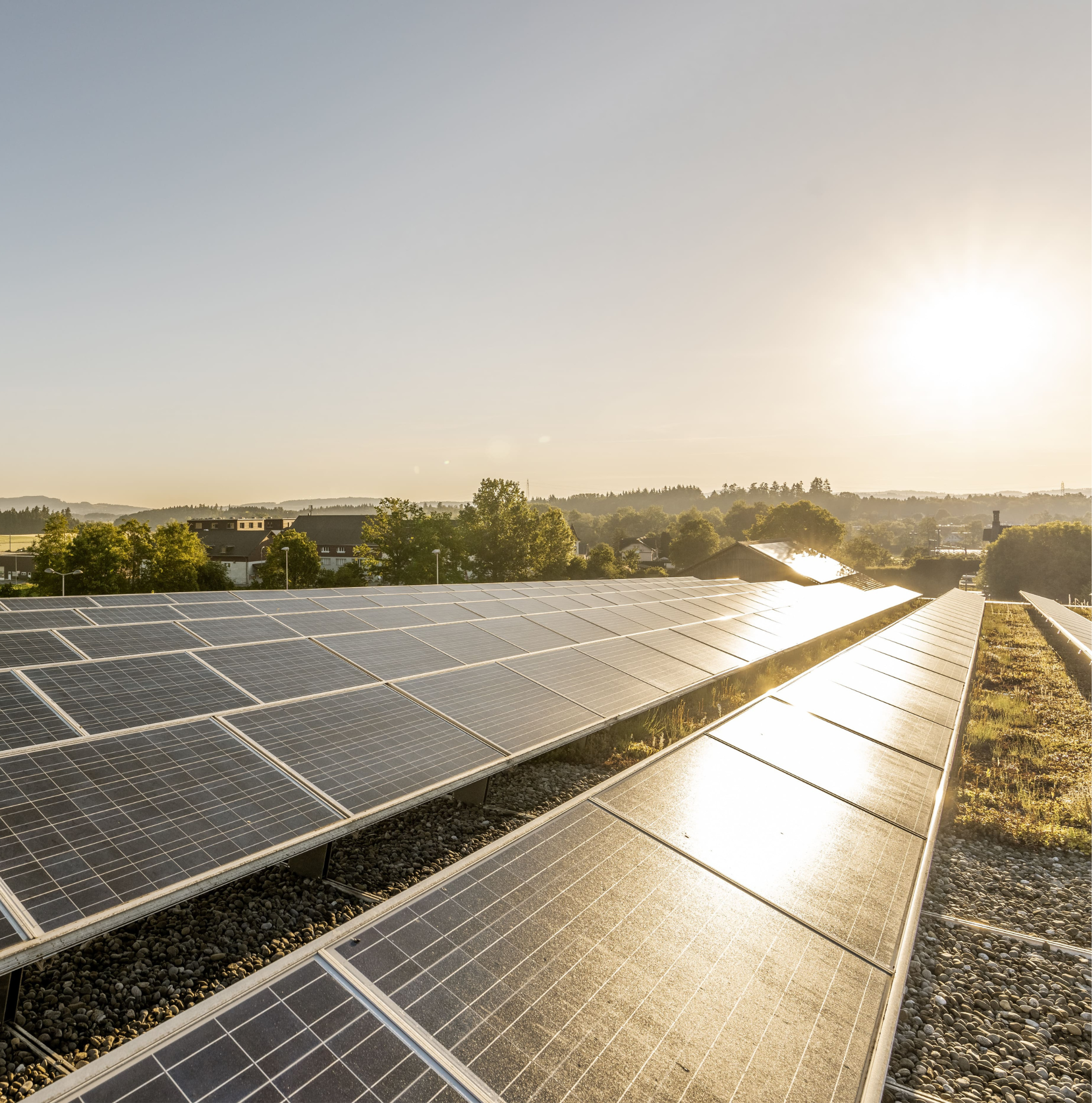 Tag der offenen Türe - Gemeinsam in eine energiegeladene Zukunft